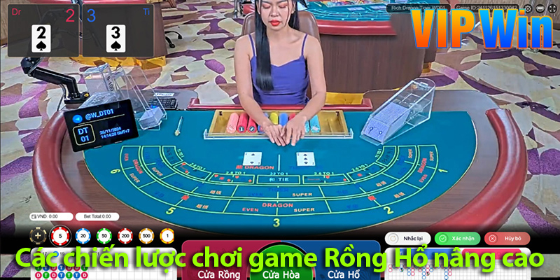 Mẹo chơi Rồng Hổ online - Bí quyết chiến thắng từ các cao thủ