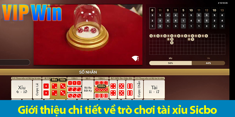 Cách chơi Sicbo live – Khám phá những mẹo chơi hiệu quả nhất 2025