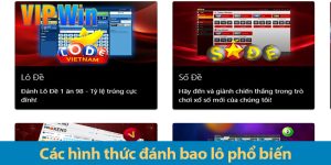 Cược bao lô là gì? Ưu và nhược điểm của từng hình thức cược